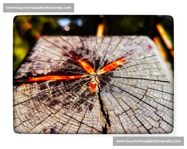 FSL比赛策略与技巧全面解析助力选手突破自我极限